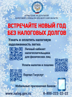 Встречайте новый год без долгов!