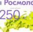 Жители Беляевского района могут принять участие в различных молодежных форумах 2025 года - Беляевский район